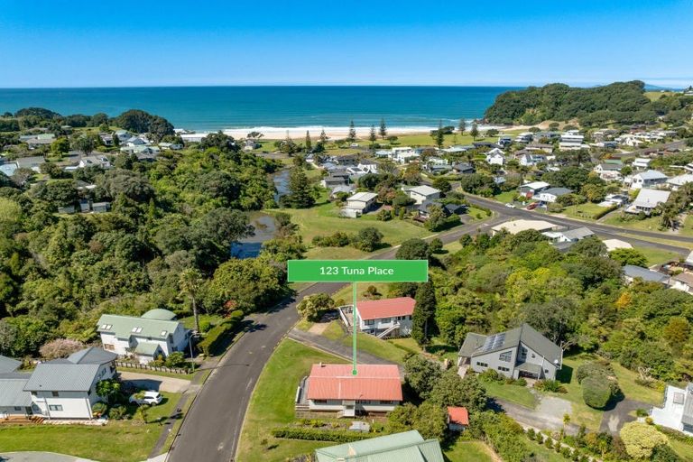 Photo of property in 123 Tuna Place, Onemana, Whangamata, 3691