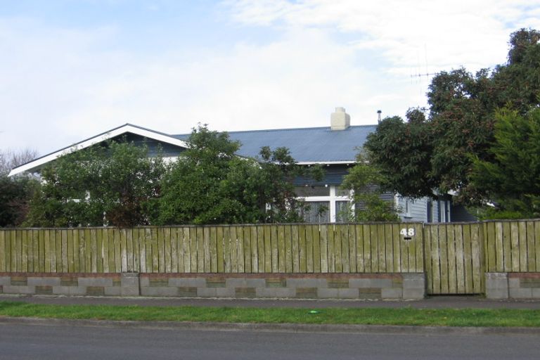 Photo of property in 48 Limbrick Street, Terrace End, Palmerston North, 4410