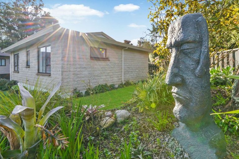 Photo of property in 109 James Cook Street, Havelock North, 4130