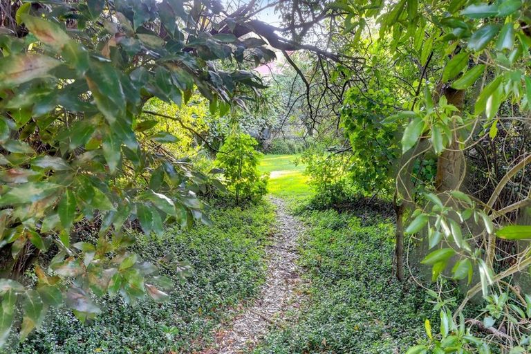 Photo of property in 155 Nile Street, Nelson, 7010