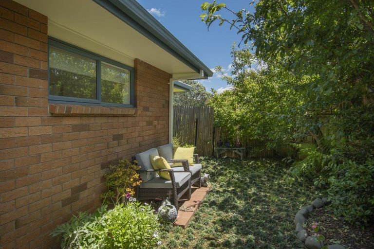 Photo of property in 98 Koutunui Road, Athenree, Katikati, 3177