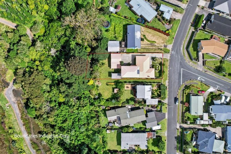 Photo of property in 62 Harrier Street, Parkvale, Tauranga, 3112