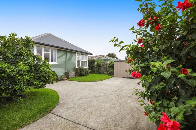 Photo of property in 75c Pooles Road, Greerton, Tauranga, 3112
