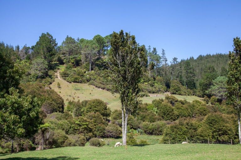 Photo of property in 896a Hikuai Settlement Road, Pauanui, Hikuai, 3579