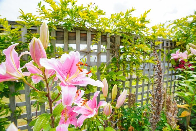 Photo of property in 181 Venus Street, Strathern, Invercargill, 9812