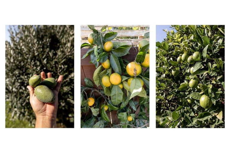 Photo of property in 14 Ohuirehe Road, Coastlands, Whakatane, 3120