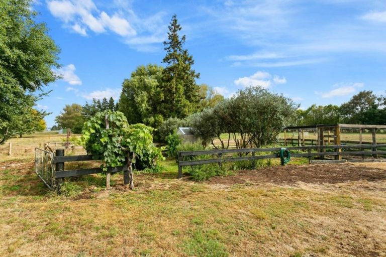 Photo of property in 66 Mill Road, Ohaupo, 3881