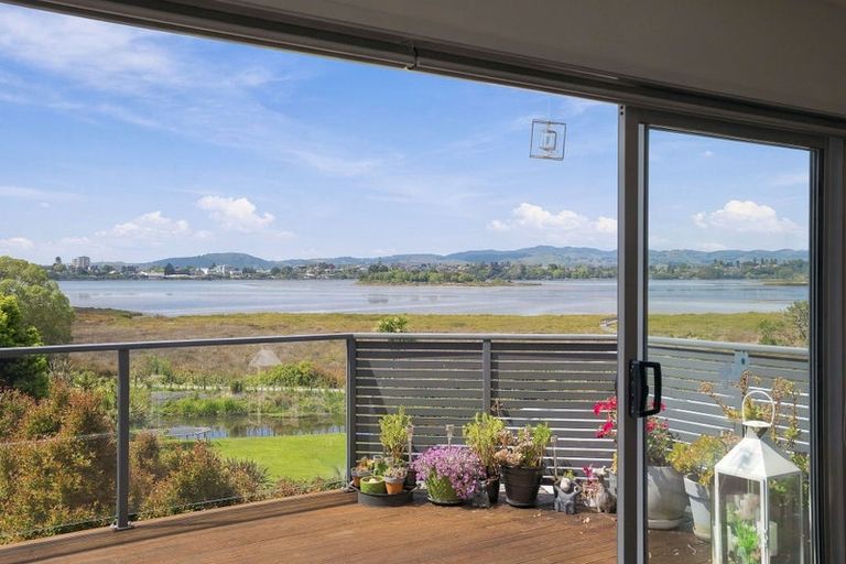 Photo of property in 9 Coach Drive, Otumoetai, Tauranga, 3110