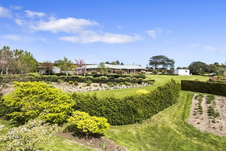 Photo of property in 8 Wavy Knowes Drive, Waldronville, Dunedin, 9018