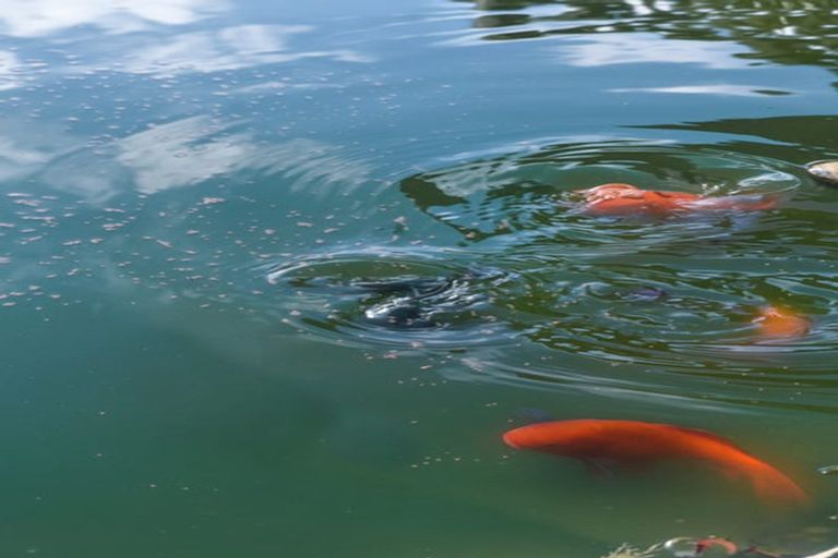 Photo of property in 5 Ethan Place, Ohauiti, Tauranga, 3112