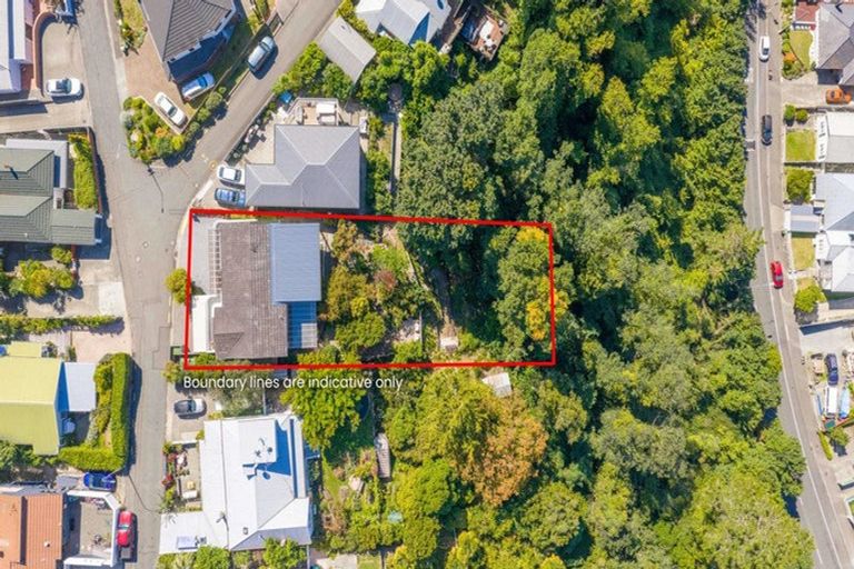 Photo of property in 17 Roslyn Road, Bluff Hill, Napier, 4110