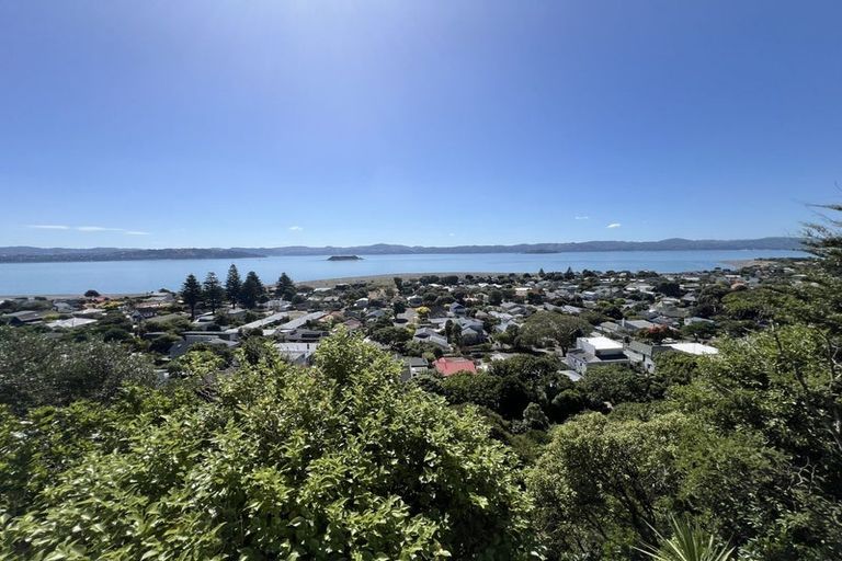 Photo of property in 15 Karaka Street, Eastbourne, Lower Hutt, 5013