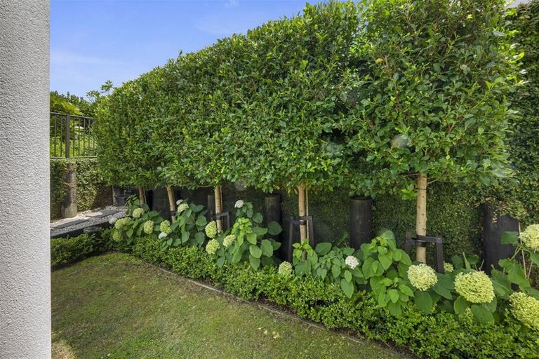 Photo of property in 101/140 Gills Road, Albany Heights, Auckland, 0632