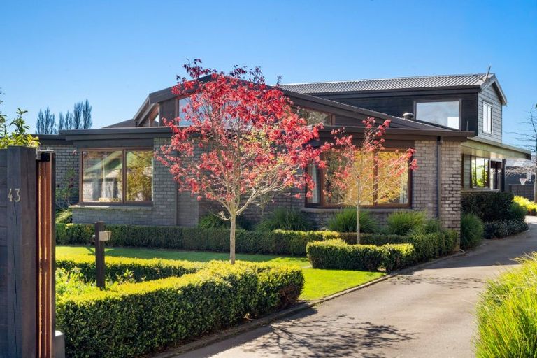 Photo of property in 43 Severne Street, Yelverton, Blenheim, 7201