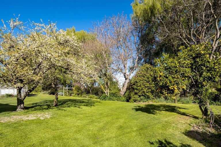 Photo of property in 43 Holdaway Street, Riversdale, Blenheim, 7201