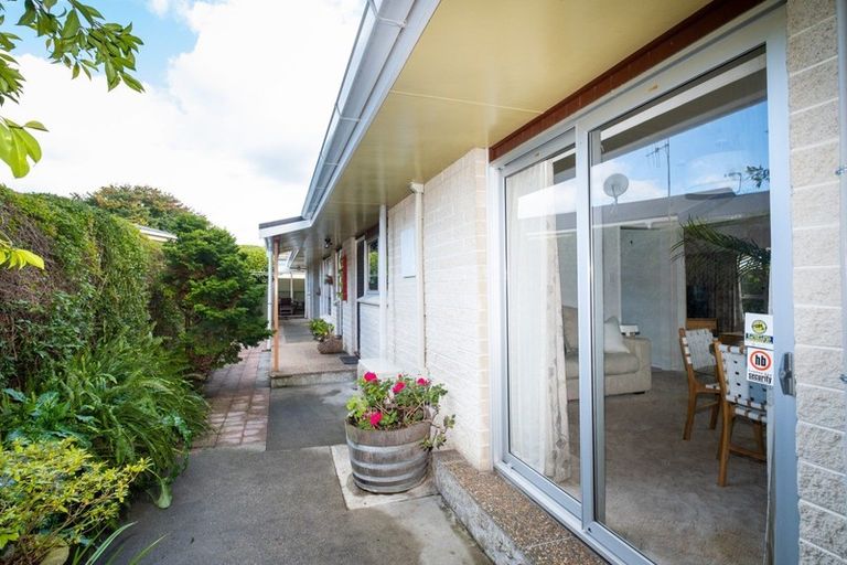 Photo of property in 62 Lyttelton Crescent, Tamatea, Napier, 4112