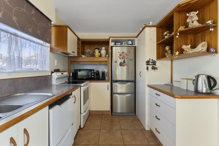 Photo of property in 66 Inkerman Street, Renwick, 7204