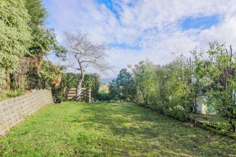 Photo of property in 161 Signal Hill Road, Opoho, Dunedin, 9010