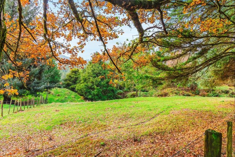 Photo of property in 2005 Ongarue Stream Road, Waimiha, 3998