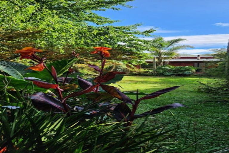 Photo of property in 91 Te Ahu Road, Pukekawa, Tuakau, 2696