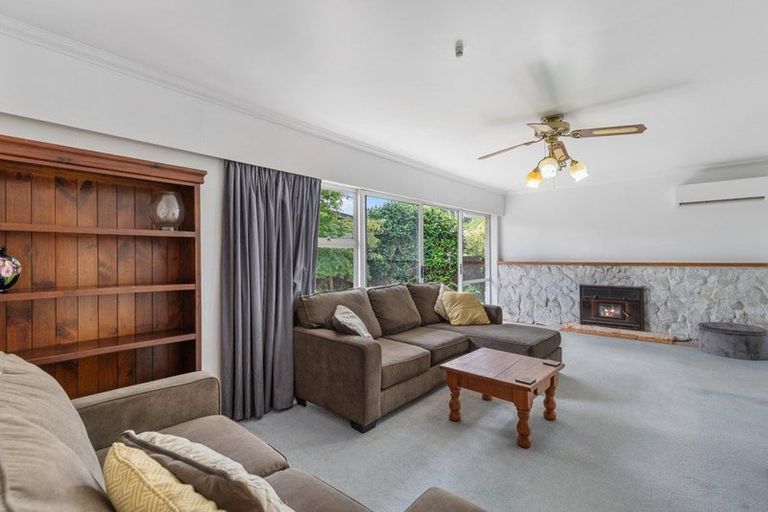 Photo of property in 80 Lewis Street, Glenview, Hamilton, 3206