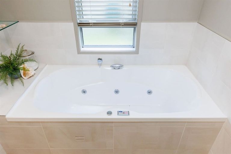 Photo of property in 3a Windsor Street, Terrace End, Palmerston North, 4410