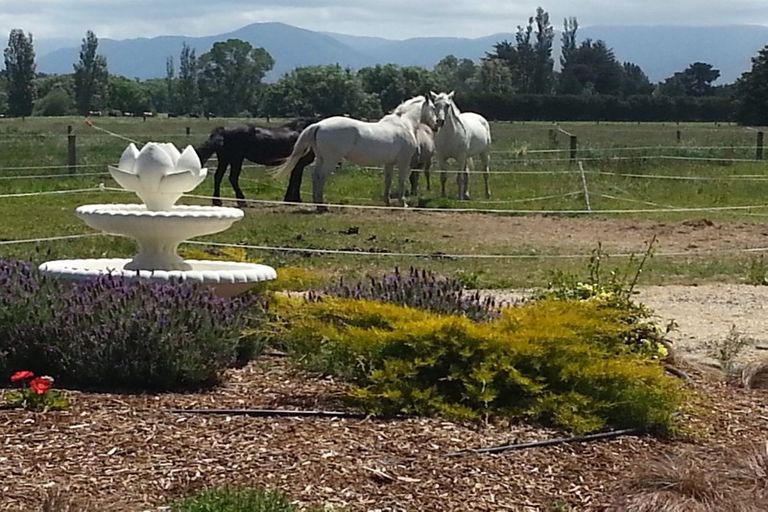 Photo of property in 298 Birch Hill Road, Okuku, Rangiora, 7473