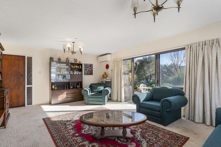 Photo of property in 161a Boucher Avenue, Te Puke, 3119