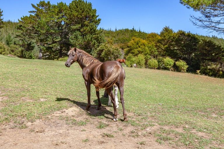 Photo of property in 896a Hikuai Settlement Road, Pauanui, Hikuai, 3579