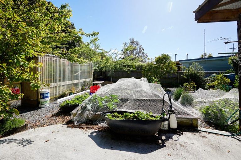 Photo of property in 1824 State Highway 1, Oaro, Kaikoura, 7374