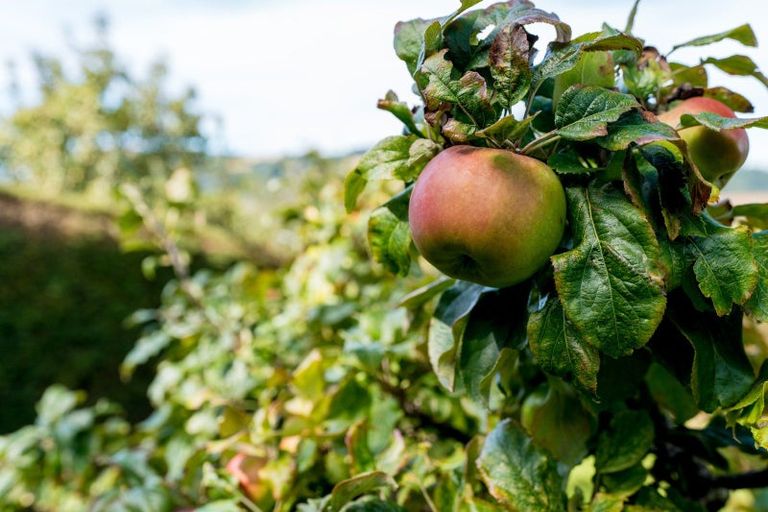 Photo of property in 46 Barclay Street, Liberton, Dunedin, 9010