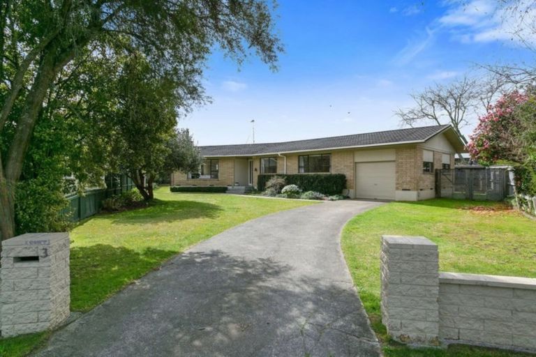 Photo of property in 3 Alfred Back Place, Cambridge, 3434