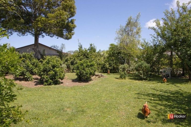 Photo of property in 1 Kitchener Street, Waihi, 3610
