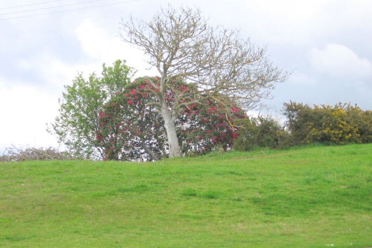 Photo of property in 28 Poike Road, Hairini, Tauranga, 3112