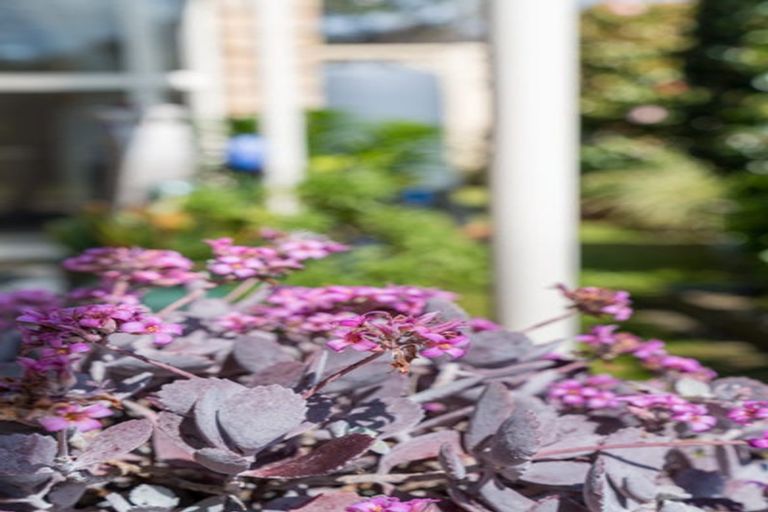 Photo of property in 8 Espalier Drive, Henderson, Auckland, 0612