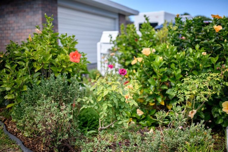 Photo of property in 4/39 Swanson Road, Henderson, Auckland, 0610