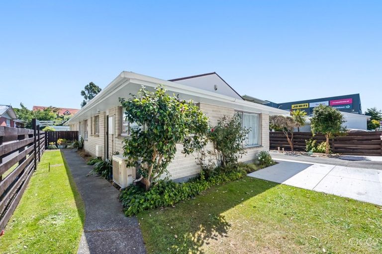 Photo of property in 19 Bloomfield Terrace, Hutt Central, Lower Hutt, 5010