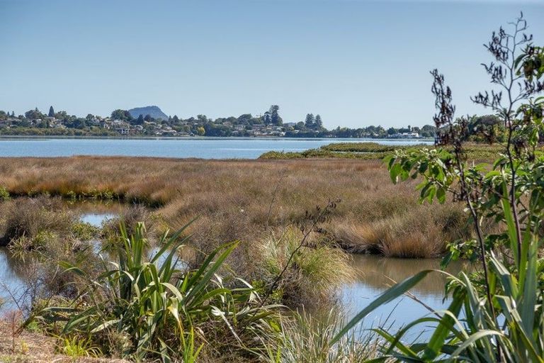 Photo of property in 35 Tangaroa Place, Poike, Tauranga, 3112