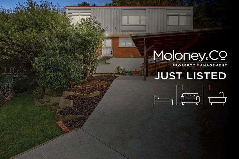 Photo of property in 59 Awarua Street, Ngaio, Wellington, 6035