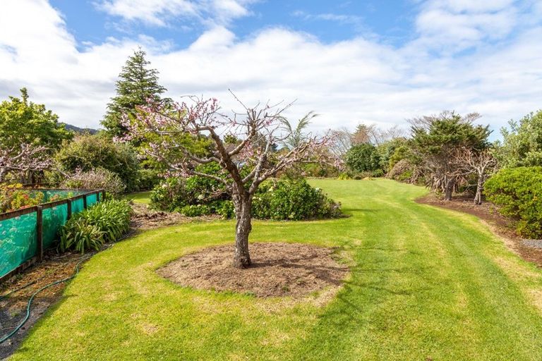 Photo of property in 53 Whangapoua Sh25 Road, Coromandel, 3506