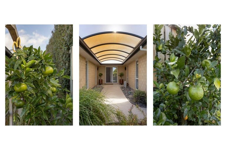 Photo of property in 17 Lynley Park Drive, Omokoroa, 3114