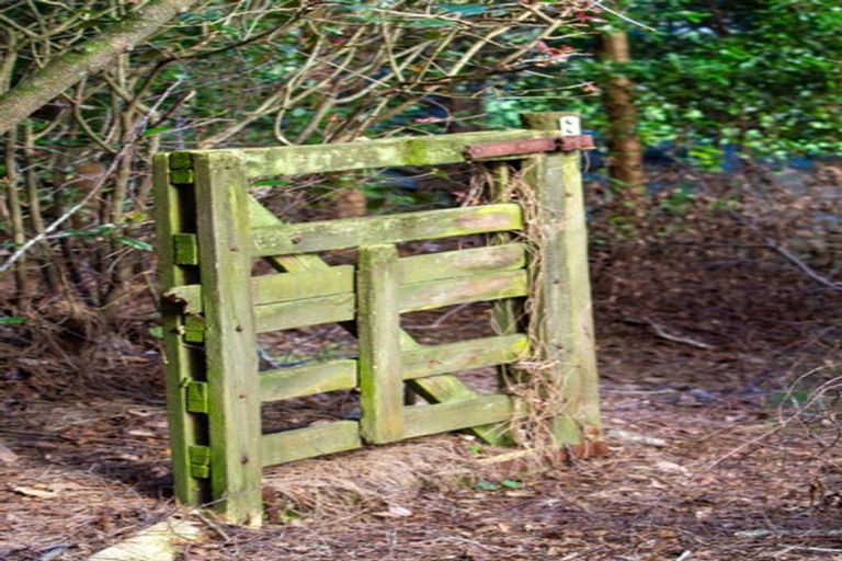 Photo of property in 598c Wright Road, Aongatete, Katikati, 3181