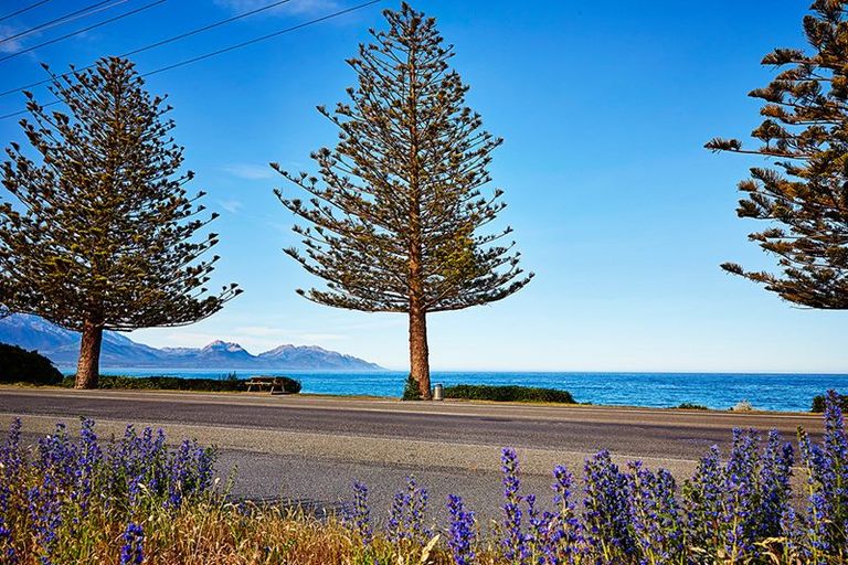 Photo of property in 166a Esplanade, Kaikoura, 7300