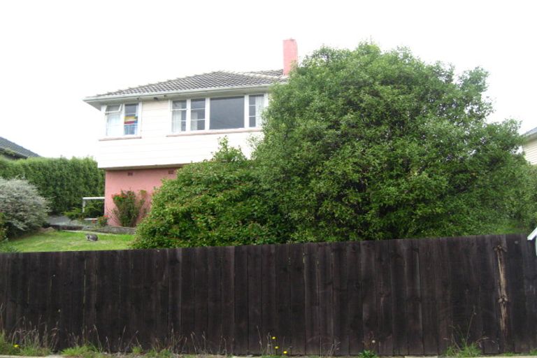 Photo of property in 15 Panmure Avenue, Calton Hill, Dunedin, 9012