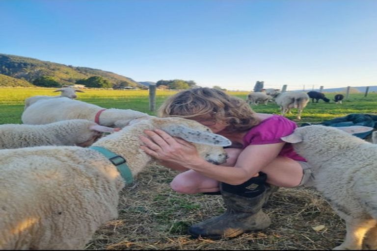 Photo of property in 23 Rameka Creek Road, Motupipi, Takaka, 7183