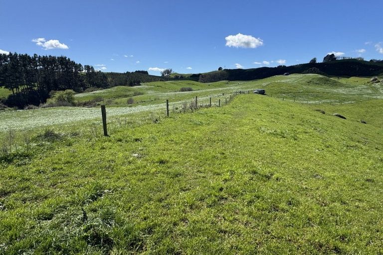 Photo of property in 258 Wharepapa Road South, Wharepapa South, Te Awamutu, 3877