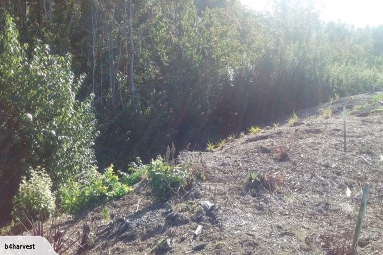 Photo of property in 16 Nelson Lane, Omokoroa, 3114