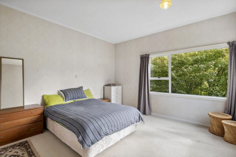 Photo of property in 43 Signal Hill Road, Opoho, Dunedin, 9010