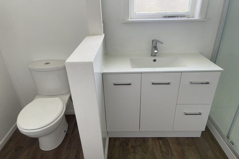 Photo of property in 20 Trojan Crescent, New Lynn, Auckland, 0600