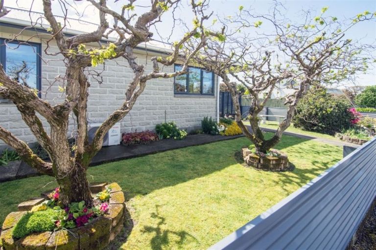 Photo of property in 43 Worksop Road, Masterton, 5810